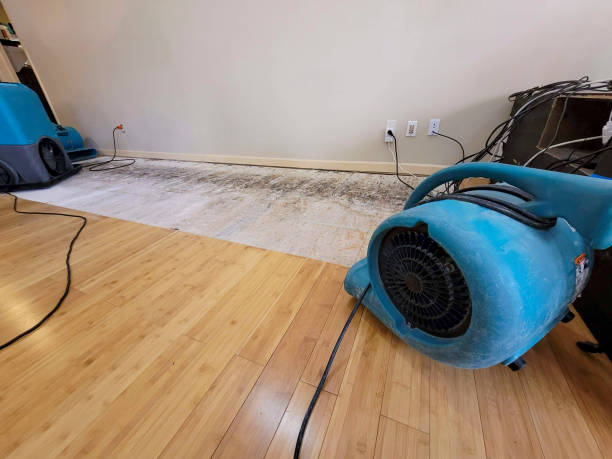 Professional Emergency Water Damage technician working in Baton Rouge, LA